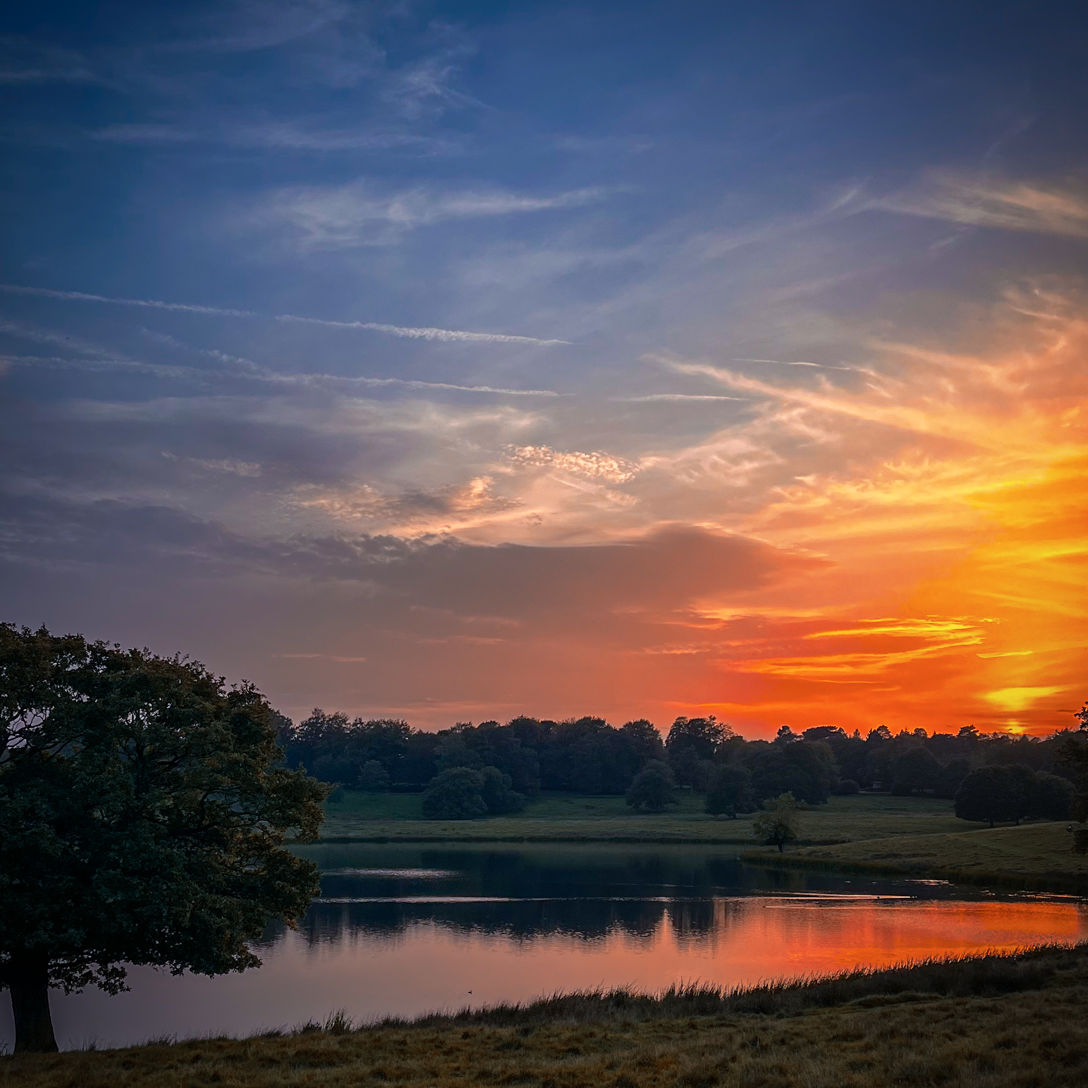 Golden Gate Bridge view