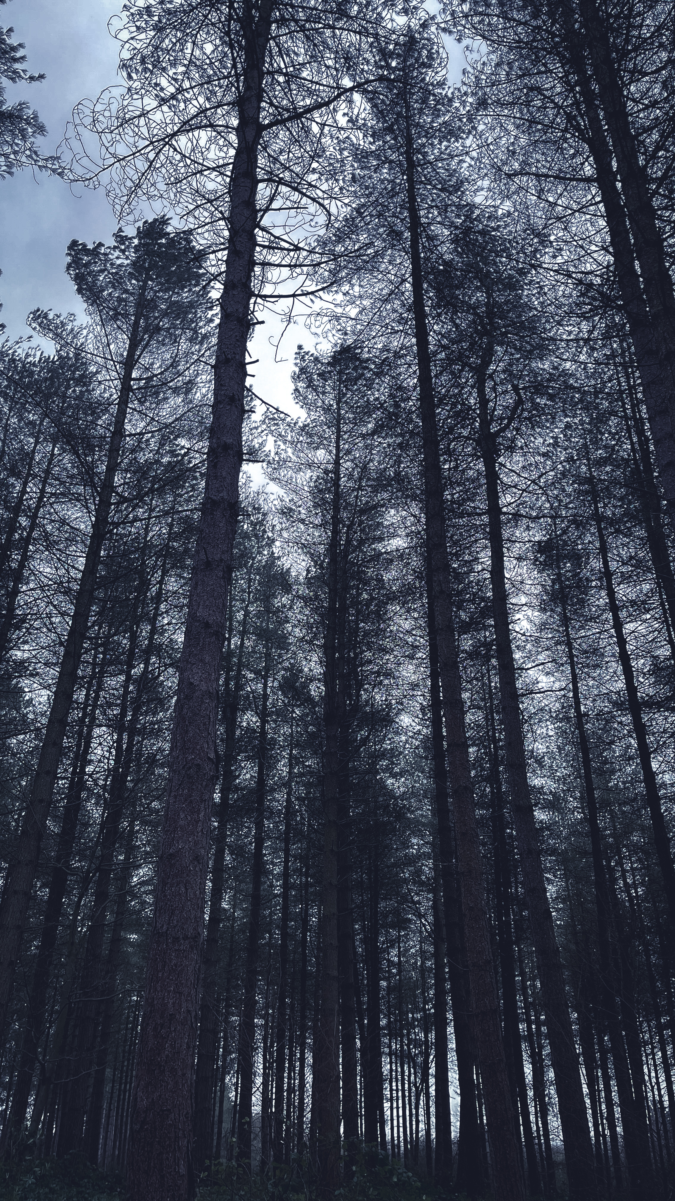 City street with classic car