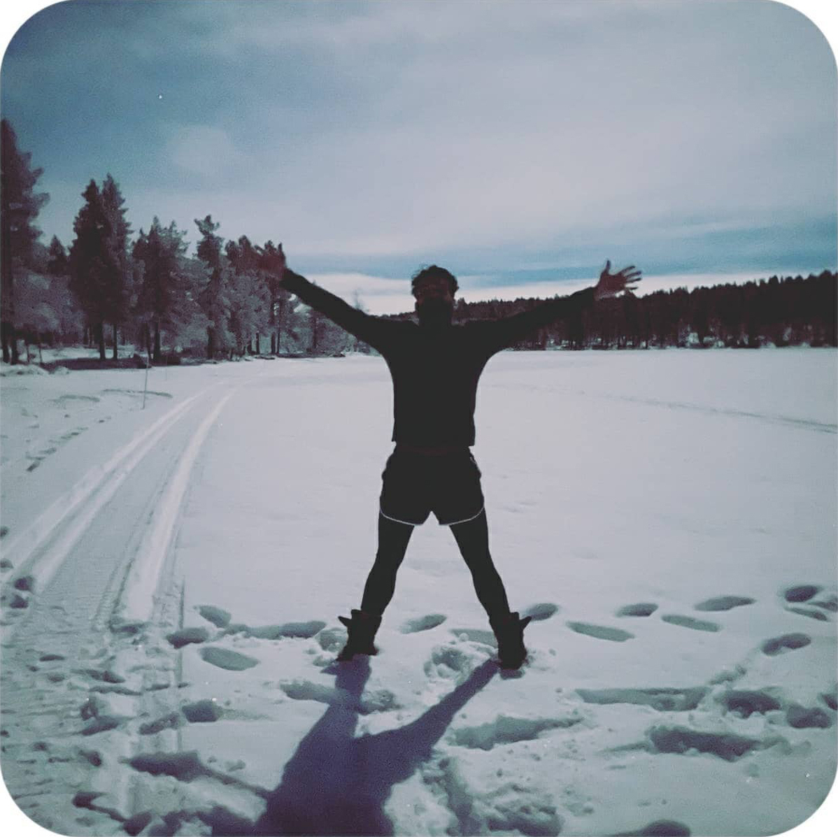 Forest road in soft light