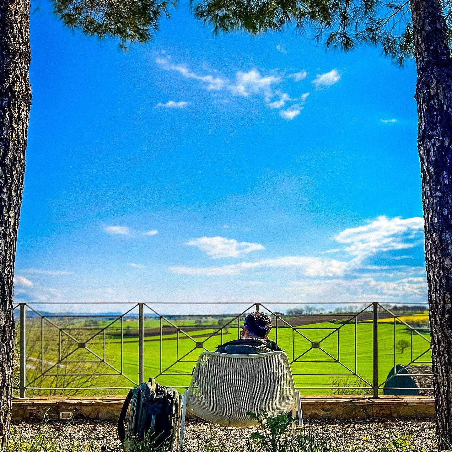 Forest road in soft light